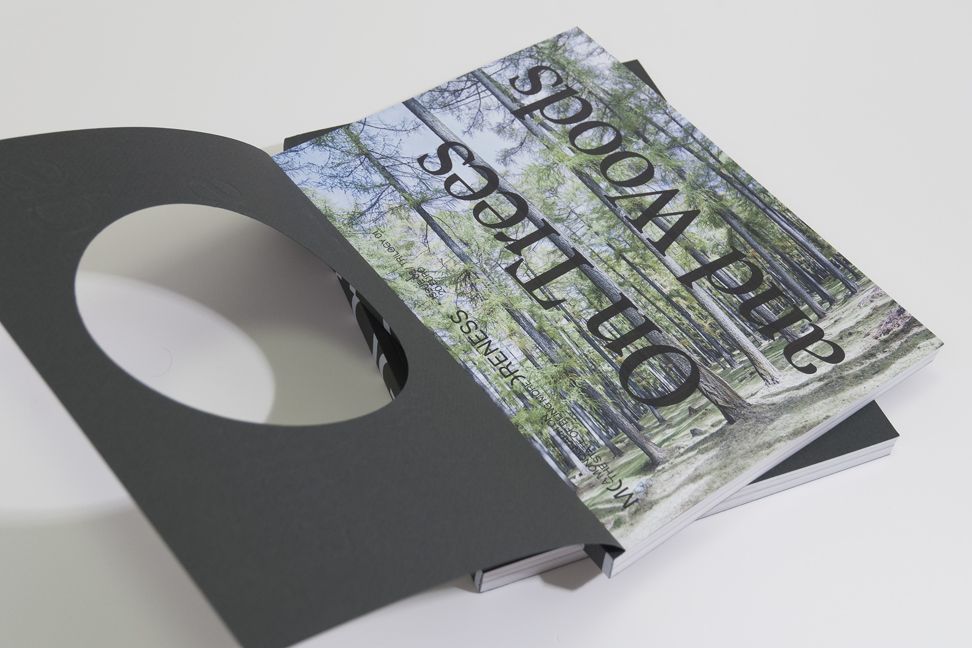 Moreness 02 <br> On Trees and Woods - Image 3