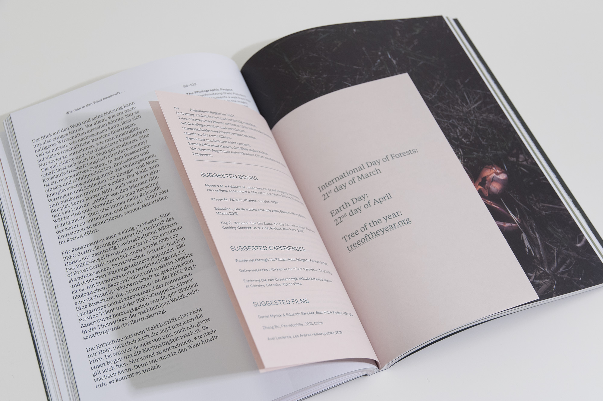 Moreness <br> Trilogy - Image 9