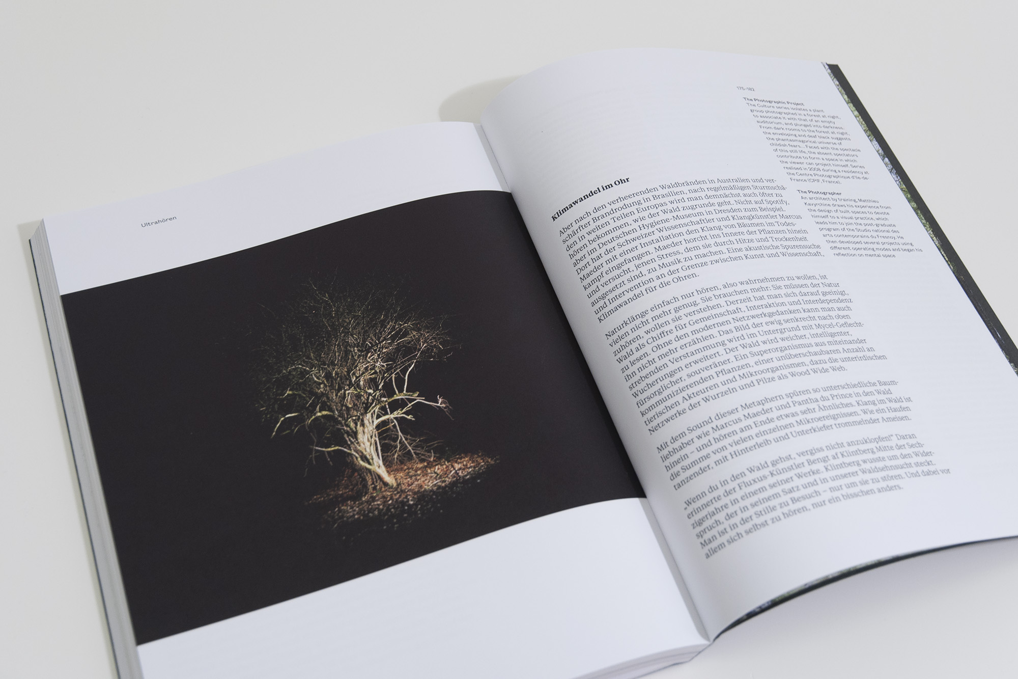 Moreness 02 <br> On Trees and Woods - Image 6