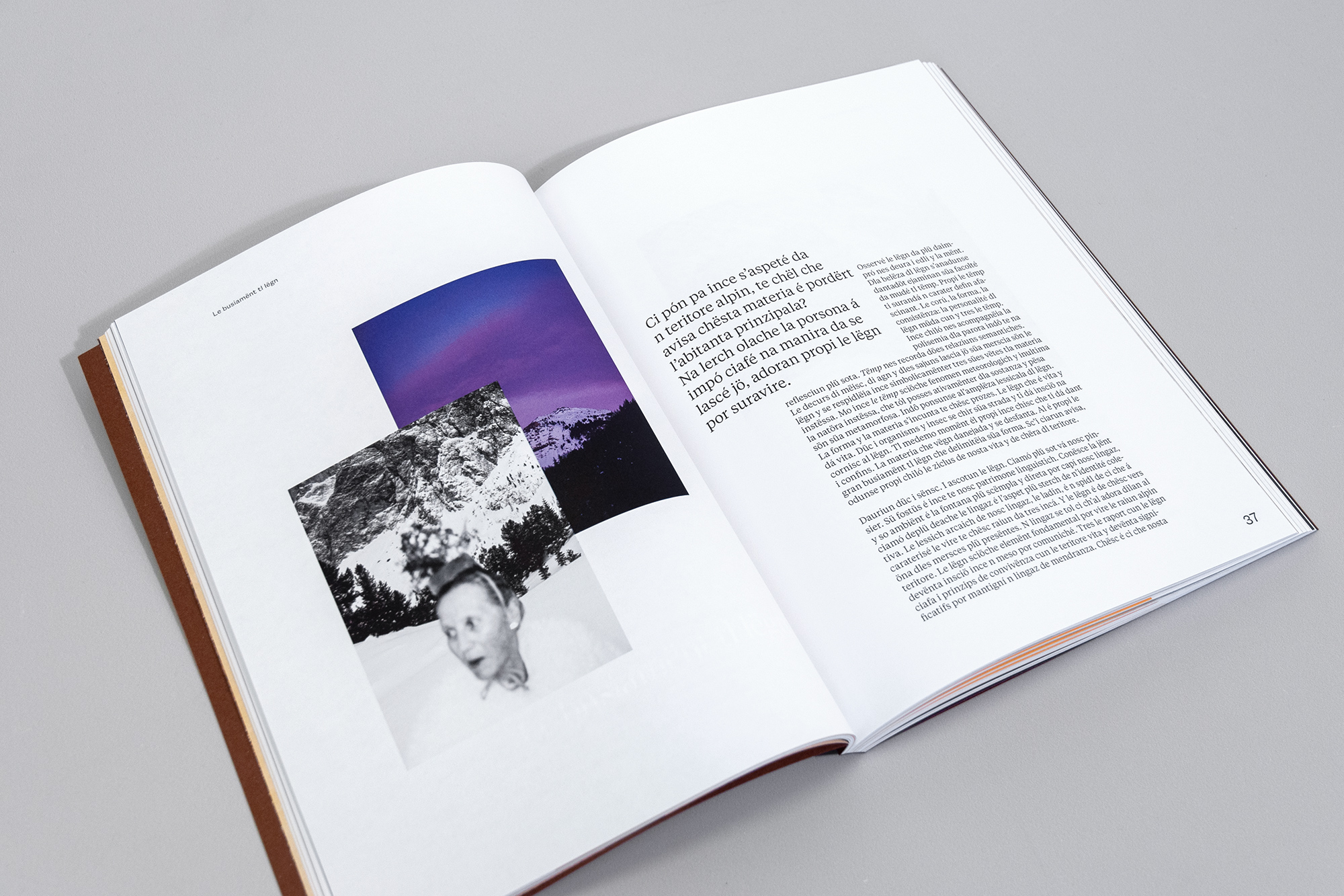 Moreness 03 <br> From Woods to Wood - Image 6