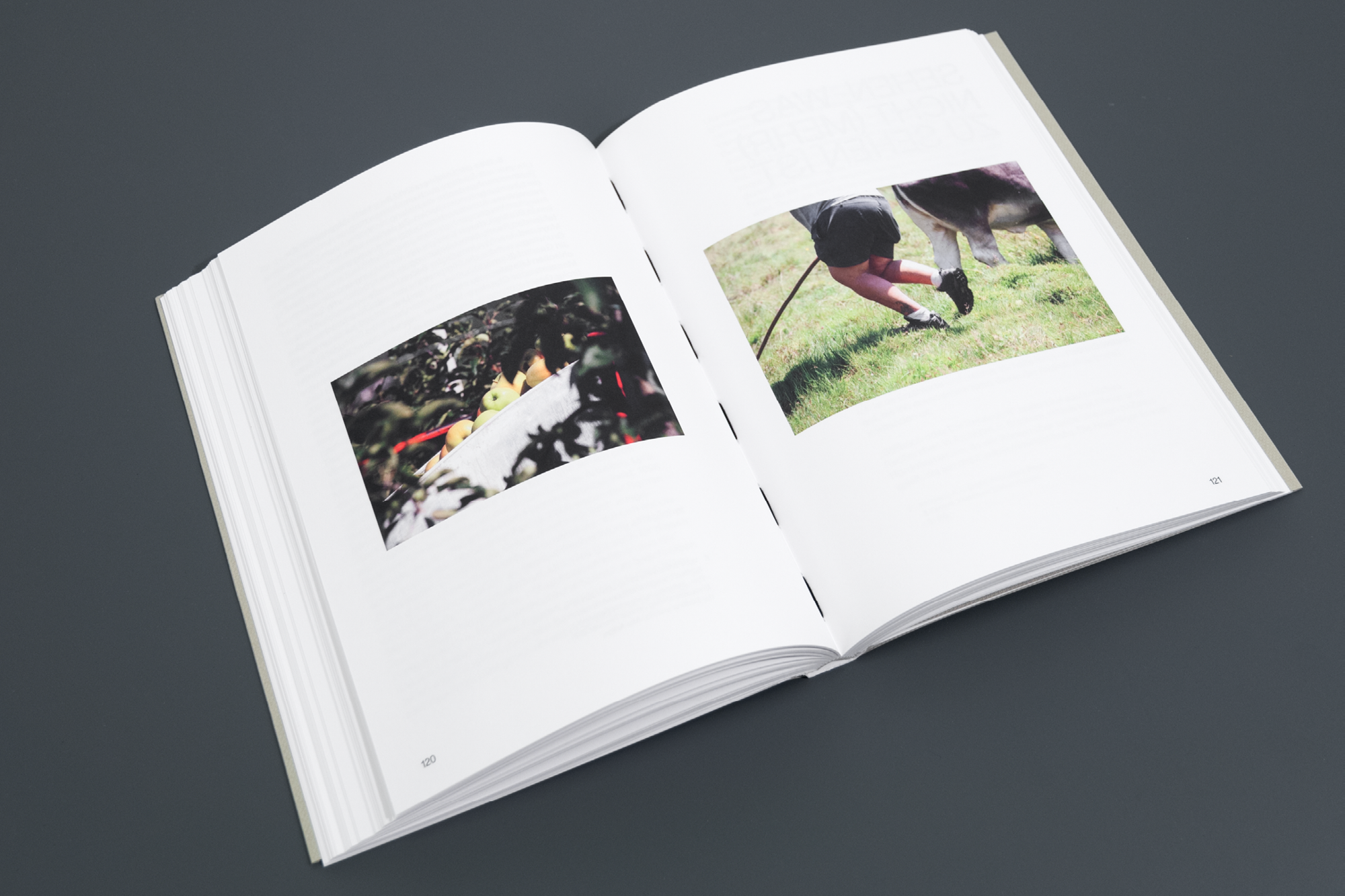 LITERATUR & WISSEN(SCHAFT) - Image 9